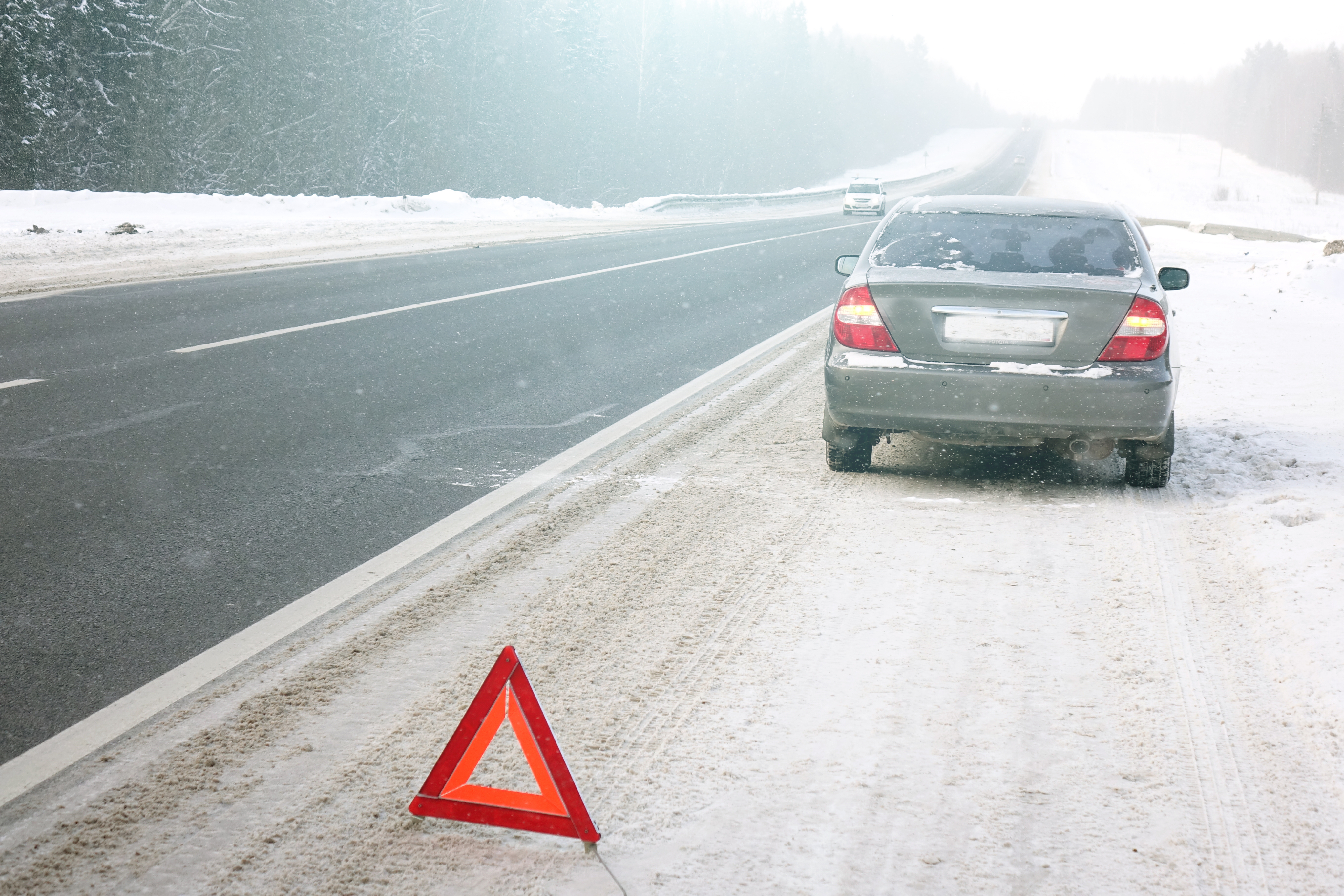 Photo of a study hall with wooden tables and chairs.